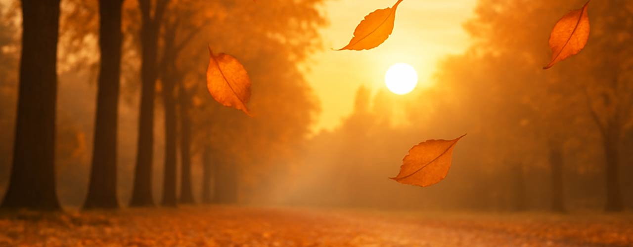 teaser_herbst
